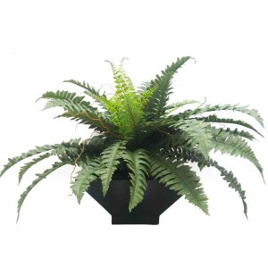 artificial plants | artificial table top plants | table top plants | pot plants | fake plants