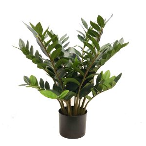 fake plants | Zamiifolia plant | Zanzibar plant | zz plant | fake Zanzibar plant | pot plant | table top plant