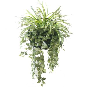 spider plant | fake spider plant | artificial spider plant | devil's Ivy | hanging plants | wall planters | lush greenery | artificial plants