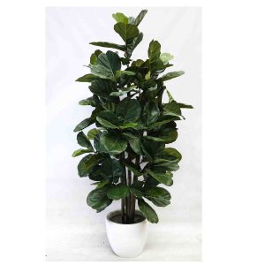lady schefflera plant | fake tree | artificial plant | artificial tree | fiddle fig tree | fake fiddle | faux plants | fake plants | artificial plants | fiddle fig tree | pot plant | fiberglass pot plant