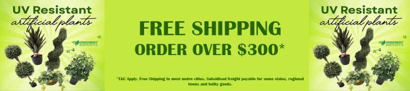 ^^^ FREE SHIPPING OVER $300* ^^^