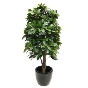 lady schefflera plant | fake tree | artificial plant | artificial tree | fiddle fig tree | fake fiddle | faux plants | fake plants | artificial plants | fiddle fig tree | pot plant | fiberglass pot plant