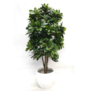 lady schefflera plant | fake tree | artificial plant | artificial tree | fiddle fig tree | fake fiddle | faux plants | fake plants | artificial plants | fiddle fig tree | pot plant | fiberglass pot plant